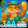 win - Gaming King